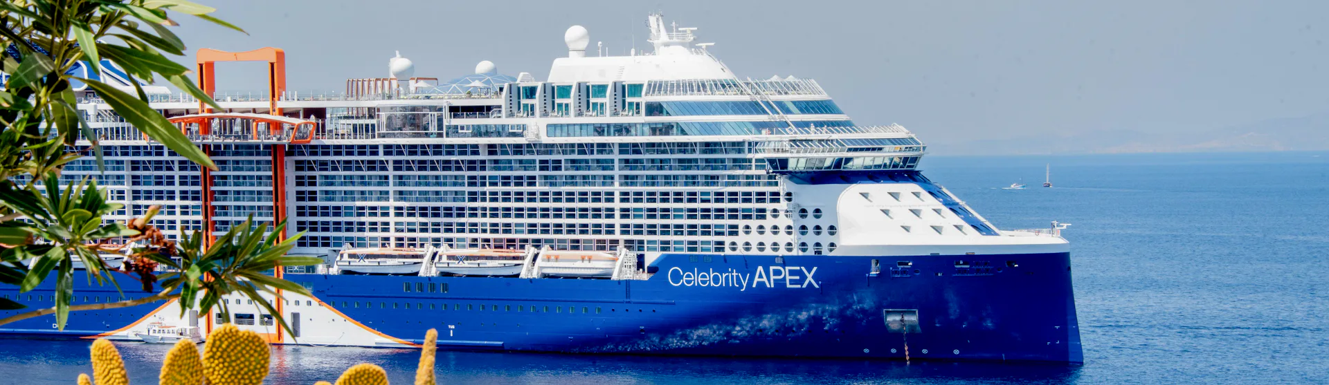 Celebrity Apex